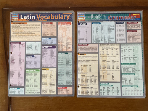 Lot latin vocabulary - lot,